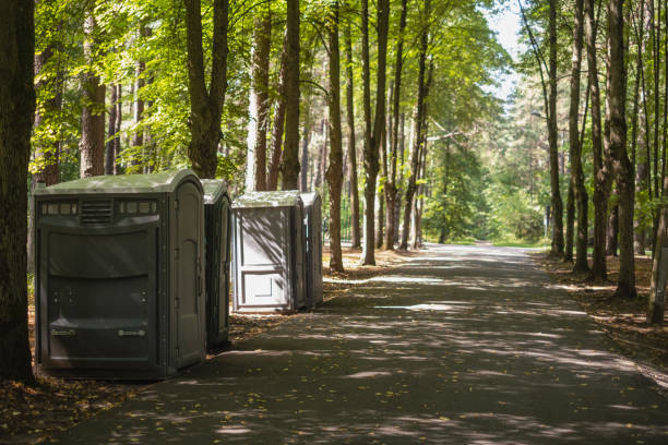 Best Portable bathroom rental  in Dandridge, TN